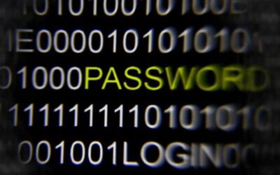 U.S. firm says Russian gang stole 1.2 billion Internet credentials