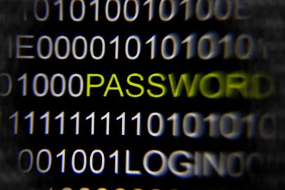 A magnifying glass is held in front of the word 'password' on a computer screen in this picture illustration taken in Berlin